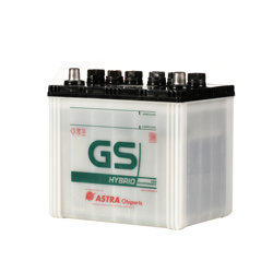 GS Hybrid 55D23L