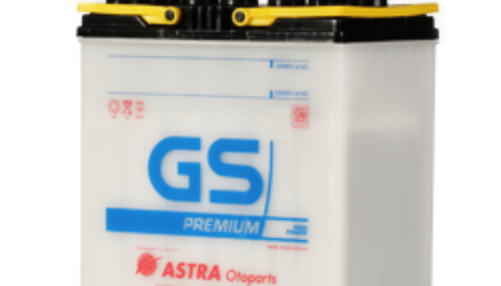 aki gs NS40Z